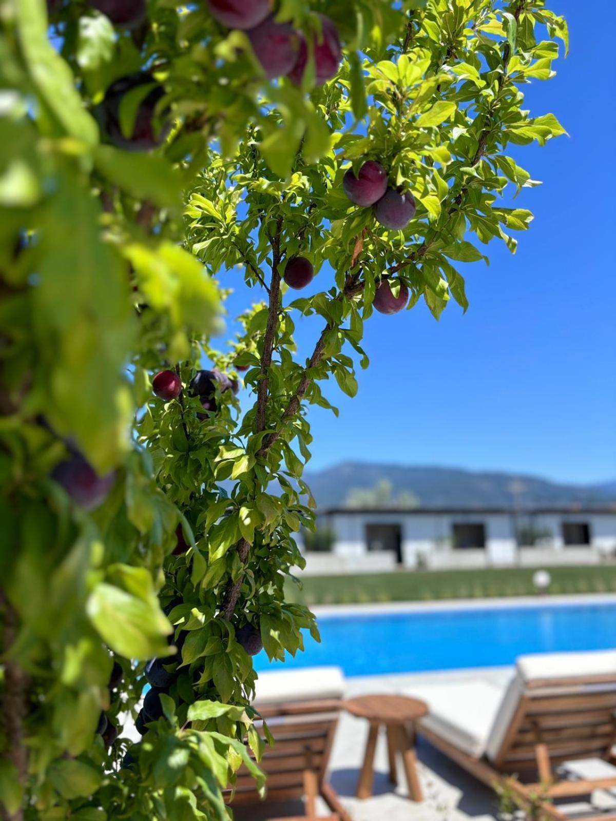 Casa Mora Apart otel Edremit  Dış mekan fotoğraf